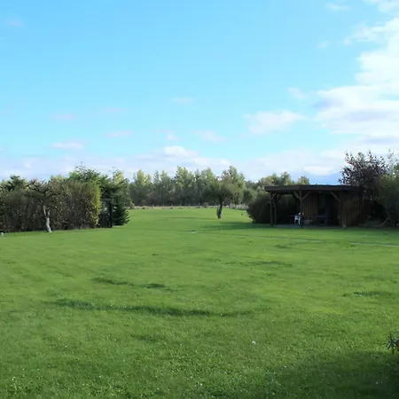 Alte Gaertnerei App Lavendel *